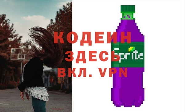 сатива Няндома
