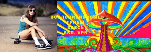 хмурый Арсеньев