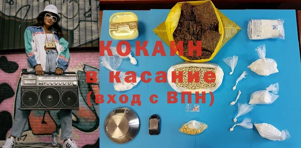 сатива Няндома