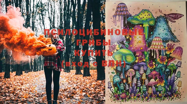 хмурый Арсеньев