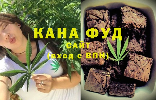 хмурый Арсеньев
