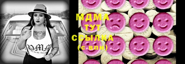 хмурый Арсеньев