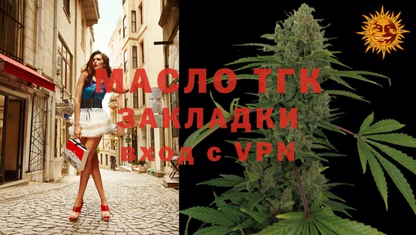 хмурый Арсеньев