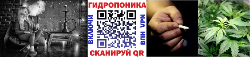 Бошки марихуана THC 21%  Багратионовск 